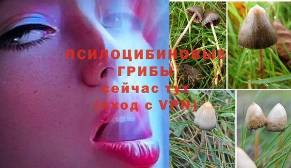 мескалин Костерёво