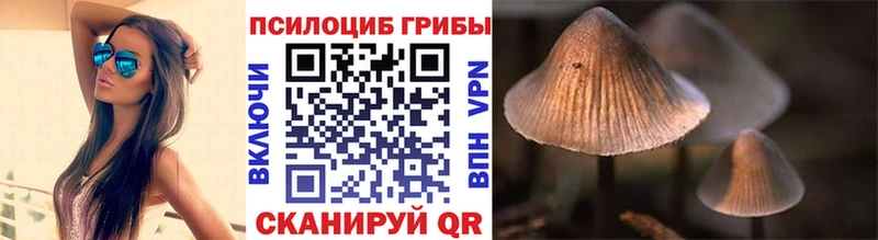Галлюциногенные грибы мухоморы  Новотитаровская 